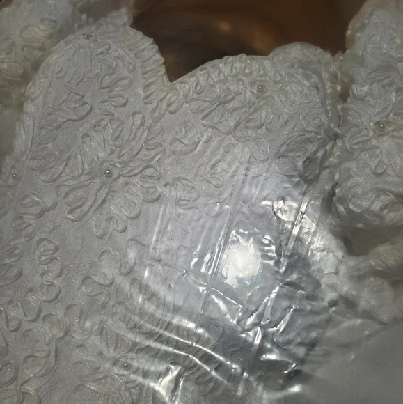 Breathtaking Ballgown Wedding Dress with Long Cathedral Style Veil Vintage
